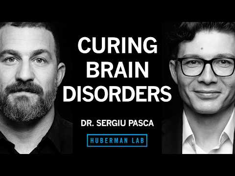 Curing Autism, Epilepsy & Schizophrenia with Stem Cells | Dr. Sergiu Pașca