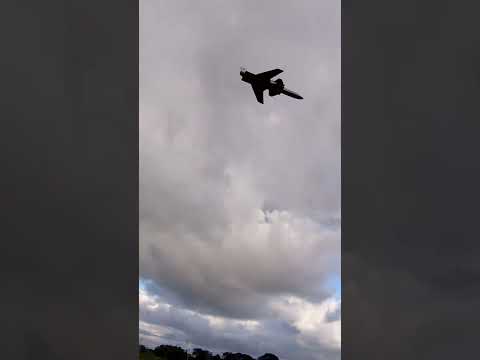 FT X-29 jet! 64 mm EDF RC plane