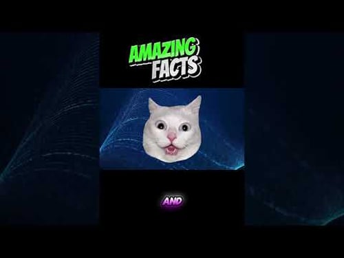 QUANTUM SUPERPOSITION