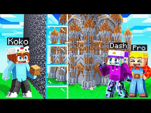 I Hired A Pro Builder To CHEAT in a Build Battle!