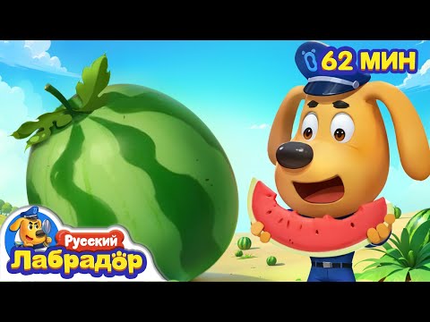 πΠ£ ΠΌΠ΅Π½Ρ Π² ΠΆΠΈΠ²ΠΎΡΠ΅ ΡΠ°ΡΡΠ΅Ρ Π°ΡΠ±ΡΠ· | ΠΡΠ°Π²ΠΈΠ»Π° ΠΠ΅Π·ΠΎΠΏΠ°ΡΠ½ΠΎΡΡΠΈ | πΠ‘Π±ΠΎΡΠ½ΠΈΠΊ ΠΌΡΠ»ΡΡΠΈΠΊΠΎΠ² Π΄Π»Ρ Π΄Π΅ΡΠ΅ΠΉ | Π¨Π΅ΡΠΈΡ ΠΠ°Π±ΡΠ°Π΄ΠΎΡ