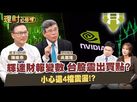 全球股市震盪!股災前兆?最後買點?輝達財報生死線?AI.PCB.記憶體.被動元件誰能笑到最後?ft.吳嘉隆.陳唯泰 【理財必修課】EP36 阿格力 詹璇依