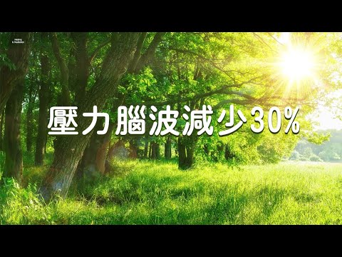 Reduce Stress Brain Waves By 30%, Improve Immunity - Morning Relaxing Music, Positive Music