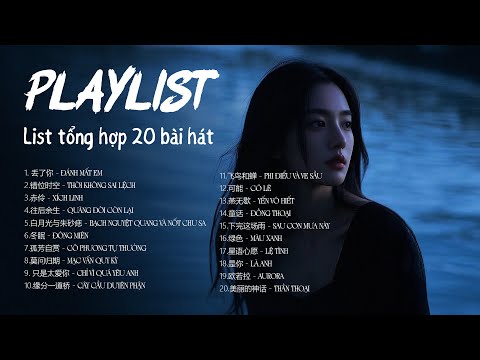 (playlist) Top Những Nhạc Trung Nổi Tiếng Nhẹ Nhàng Thư Giãn Hot TikTok Douyin 2025