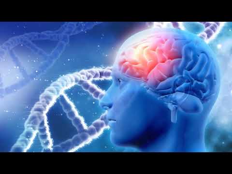 Nhạc sóng Alpha giúp nhớ nhanh, nhớ lâu, kích thích não bộ.