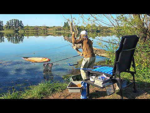 РЫБАЛКА на ФИДЕР для ЦЕНИТЕЛЕЙ ФИДЕРА. Ловля фидером в сентябре