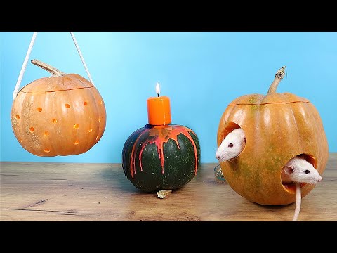 Очень странные поделки из тыквы на Хэллоуин