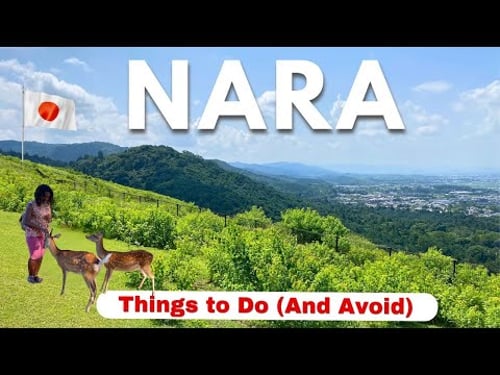 7 Unmissable Things to Do in NARA, JAPAN - The Perfect Nara Day Trip
