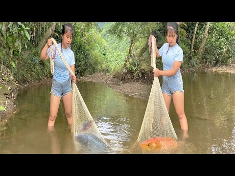 The girl with the traditional fishing method: using bait, pulling the net and catching a lot of fish