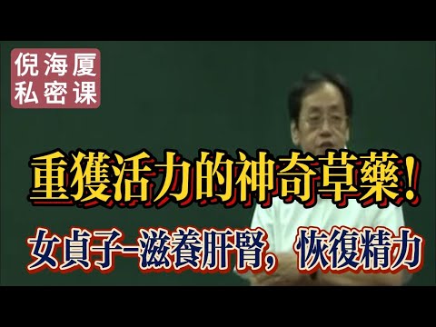 【倪海廈私密課】女貞子:讓你重獲精力的果實 | 中醫的補肝腎秘方#倪海廈 #自學中醫 #中藥#中醫基礎課程
