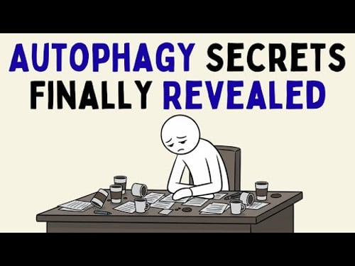 What Happens to Autophagy When You Use Intermittent Fasting Long Term (Science Explained)