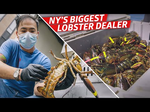 How Steven Wong Moves 80,000 Pounds of Lobster a Week — Vendors