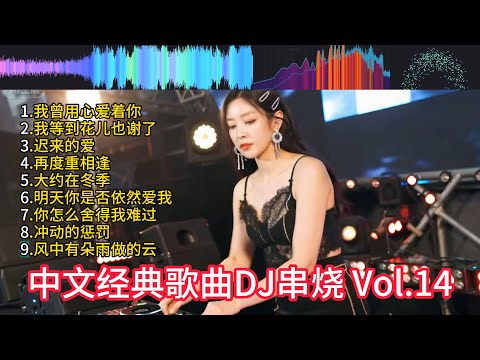 经典怀旧中文歌 DJ版REMIX串烧 慢摇动感【我曾用心爱着你】【我等到花儿也谢了】【迟来的爱】【再度重相逢】【大约在冬季】【明天你是否依然爱我】【你怎么舍得我难过】DJ打碟实录 Vol.14