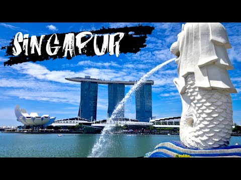 Singapur-Reiseguide: Tipps und Top-Attraktionen!