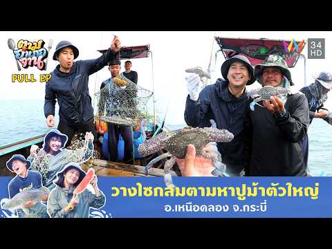วางไซกลมตามหาปูม้าตัวใหญ่ อ.เหนือคลอง จ.กระบี่ | ตามอำเภอจาน | 16 ธ.ค. 68 Full EP