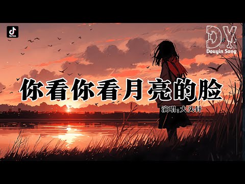 大头针 - 你看你看月亮的脸『圆圆的 圆圆的 月亮的脸,扁扁的 扁扁的岁月的书签,甜甜的 甜甜的 你的笑颜,是不是 到了分手的时间』【动态歌词MV】