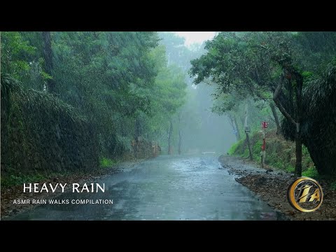 Heavy Rain Walks Compilation | ASMR Rain and Thunder Sound for Sleep and Meditation | 3 Hours