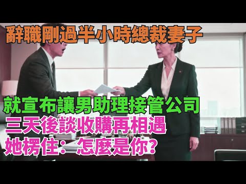辭職剛過半小時,總裁妻子就宣布讓男助理接管公司,三天後談收購再相遇,她楞住:怎麼是妳?【清風與你】