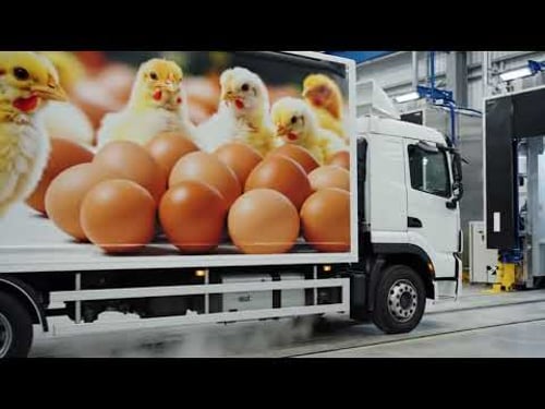 Modern Chicken Farming System - Inside Free-Range Chicken Farms