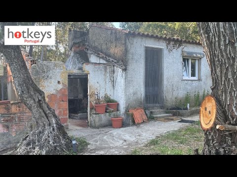 Renovation TIMELAPSE Portugal TINY HOUSE 1 year in 60 mins EP55