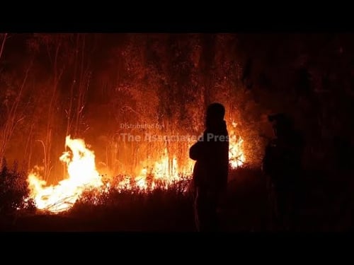 Why Chile’s wildfires are spreading faster and burning hotter