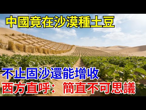 中國竟在沙漠種土豆,不止固沙還能增收,西方直呼:簡直不可思議!【科创驿报】#科普#科学#工程#超级工程 #建造 #中國基建#施工 #沙漠工程 #國際觀點 #熱門 #大熱門 #中國 #基建狂魔