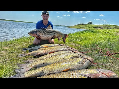 ВЗЯЛ ТРОФЕЙ 20+!!! ВОТ ЭТО РАЗДАЧА! РЫБАЛКА НА ВОЛГЕ! Рыбалка в Астрахани 2024.