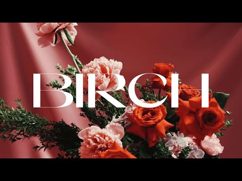 How To Build a Luxury Pink Holiday Design with East Olivia’s Celebrity Florist | Birch Event Design