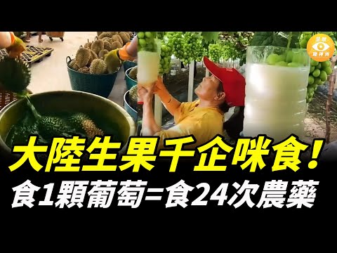 大陸生果千企咪食!食1顆葡萄=食24次農藥;生果個個打上膨大劑……