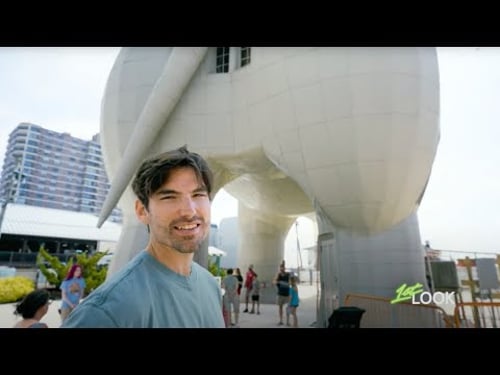Things to do in Atlantic City: Lucy the Elephant, Delicious Restaurants & Daring Waterpark Slides