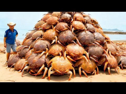 7 of the MOST DANGEROUS Crustaceans in the World