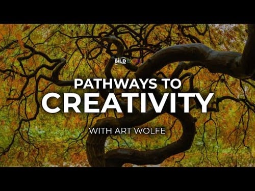 Art Wolfe: Pathways to Creativity | B&H Bild Expo