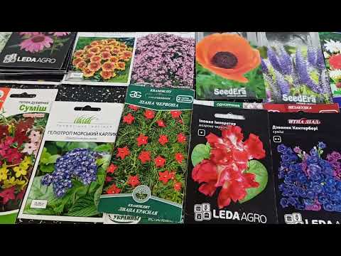 Запрошую усіх у свій квітковий рай .@Які квіти я буду сіяти?Чому вигідно сіяти багаторічні квіти?