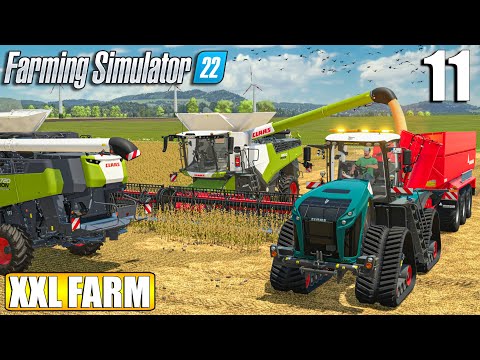 FIRST BIG SOYBEANS HARVEST - 150.000l | The XXL FARM - Timelapse #11 | Farming Simulator 22