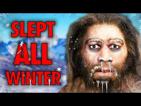 The Neanderthal Hibernation Theory