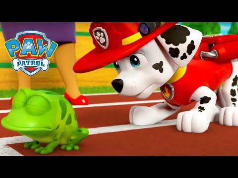 更多動物救援 - PAW Patrol 汪汪隊立大功 - 兒童卡通