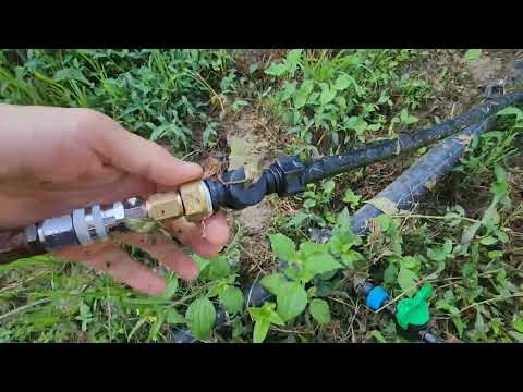 고추는 물을 주어야 자란다!!