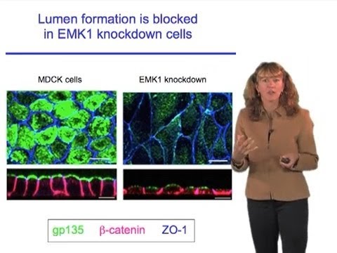 Susan McConnell (Stanford): Designing effective scientific presentations