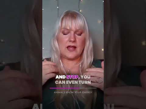 Animals Know Your Energy!