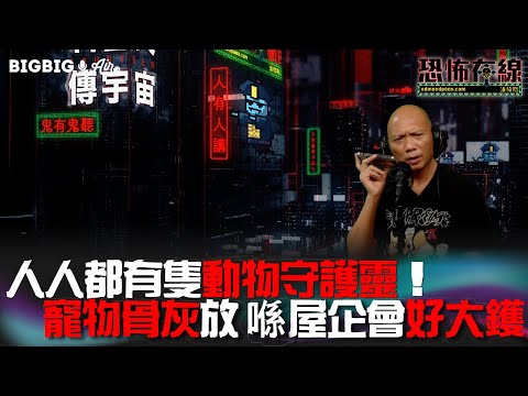 人人都有隻動物守護靈!寵物骨灰放喺屋企會好大鑊 #潘紹聰 #恐怖在線《第3663集》 2022-11-18