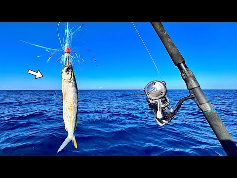 Trolling a Rigged Ballyhoo Only *11 Miles* Out When I Caught THIS! *Epic Results*