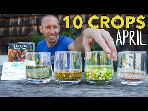 10 Crops You'd be Foolish Not to Plant in April