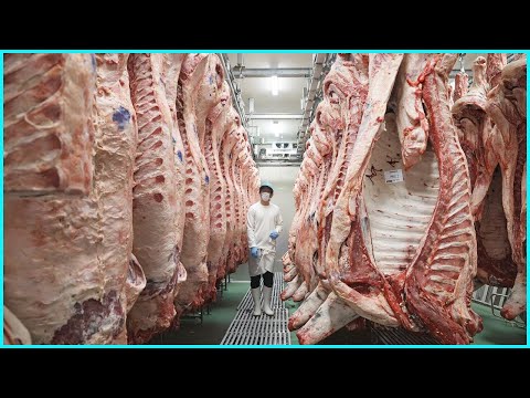 Billions of Cows Raised by Flying Cowboys?! | Inside Modern Meat Technology