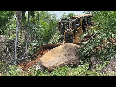 Mountain Road Transformation Using D6R XL in Oil Palm Plantation