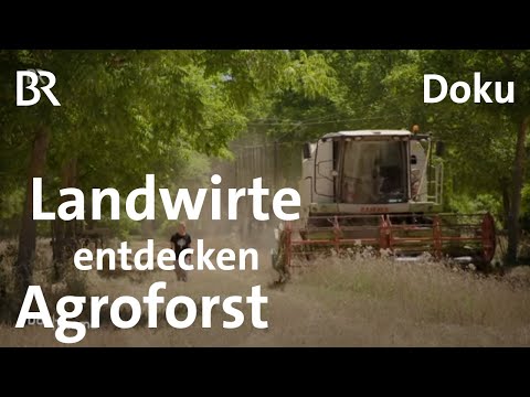 Ackern unter Bäumen: Landwirte entdecken den Agroforst | DokThema | Doku | Klimawandel | BR