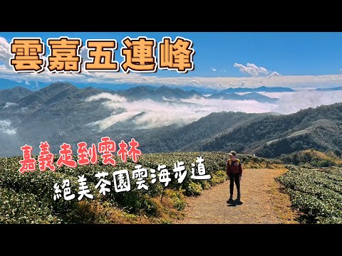 雲嘉五連峰 - 絕美茶園雲海步道 從嘉義走到雲林