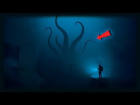 4+ Hours of Deep Sea Monsters Found in the Mariana Trench