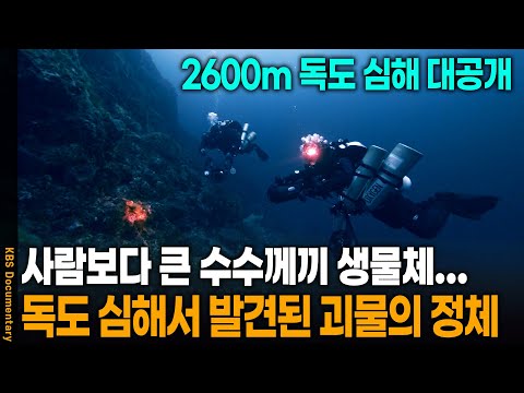 미스터리의 섬, 독도 심해 2600m 밑을 확인했더니 | KBS 20230107 방송