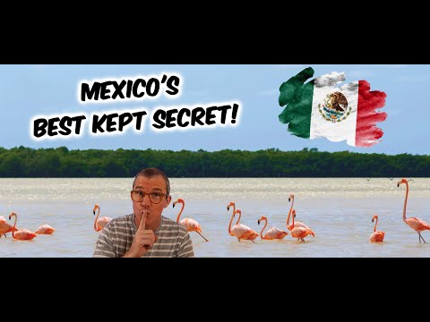 Isla Holbox Mexico's best kept secret you NEED to visit