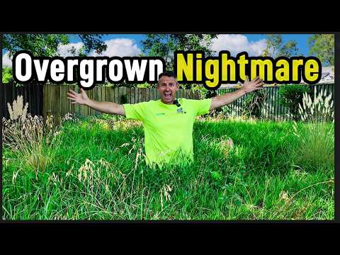 The Yard No One Dared To Mow / MEGA CLEANUP